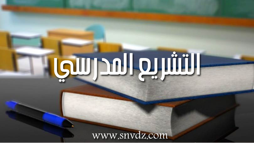 تشريع مدرسي سنة أولى ماستر أدب عربي حديث ومعاصر .