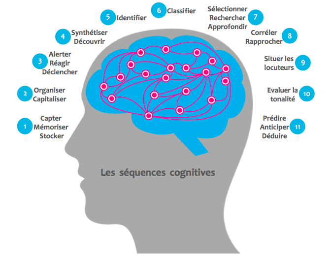 Psychologie Cognitive 
